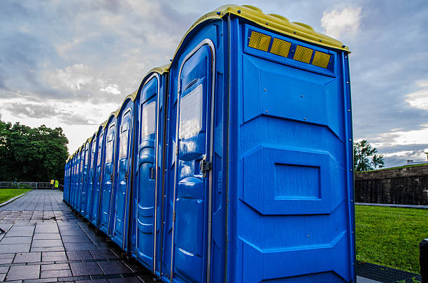Best Sanitation services for porta potties  in Dewitt, IA